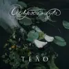 Осень Моей Жизни - Тело - Single